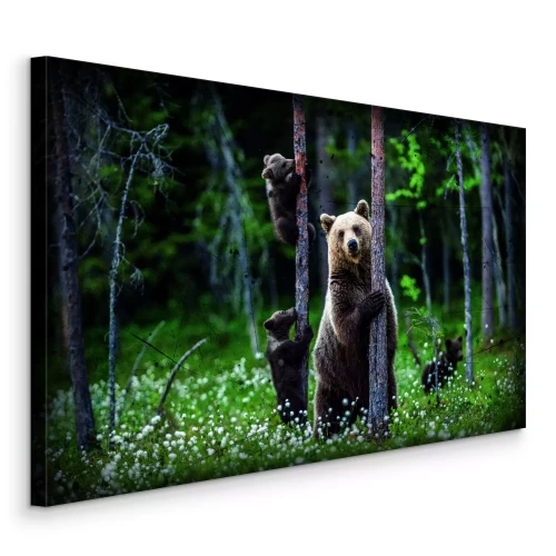 Tableau  Une ourse adulte se promène avec ses petits parmi les arbres.