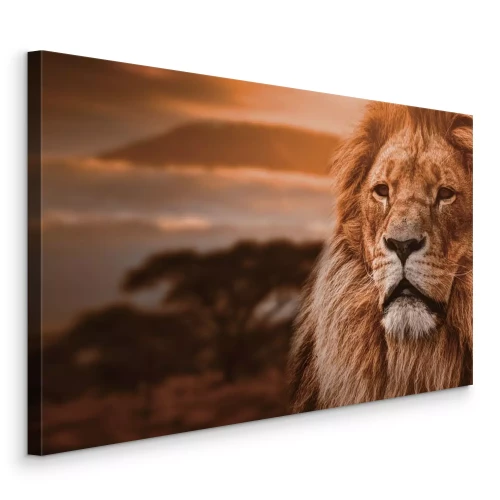 Tableau  Portrait majestueux d'un lion adulte sur fond de savane