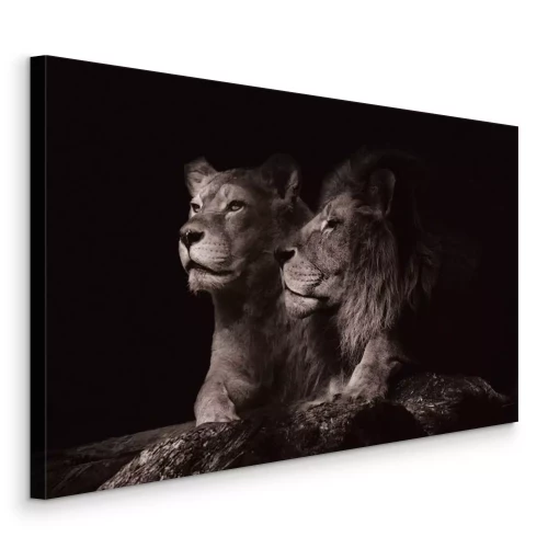 Tableau  Lions adultes se reposant sur un rocher