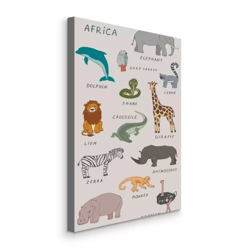 Tableau  Illustrations colorées d'animaux exotiques