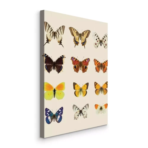 Tableau  Papillons dans une palette colorée