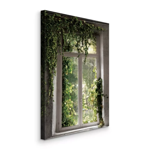 Tableau  Des vignes vertes autour d'une vieille fenêtre