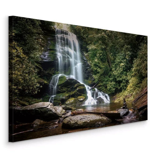 Tableau  Une cascade forestière au milieu de la verdure