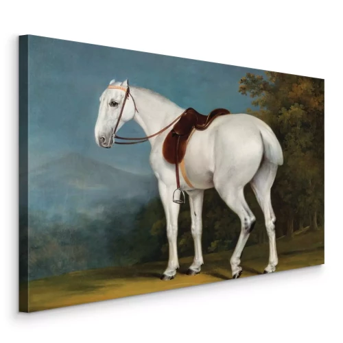 Tableau  La beauté classique d'un cheval dans une clairière verdoyante