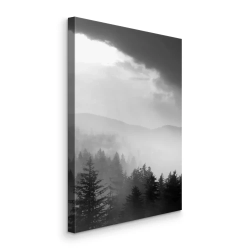 Tableau  Une sombre forêt de conifères enveloppée d'un épais brouillard