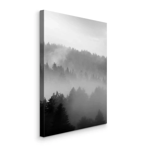 Tableau  Une forêt monochrome enveloppée d'un épais brouillard