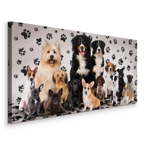 Tableau  Chiens de race pure à la posture élégante