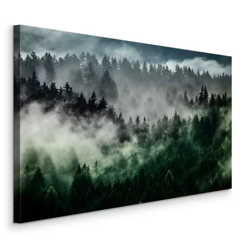Tableau  Brouillard forestier sur la forêt de conifères