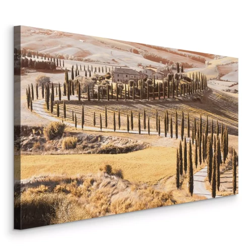 Tableau  Les collines verdoyantes de Toscane recouvertes d'une végétation luxuriante