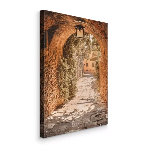 Tableau  Une rue pavée pittoresque bordée de vignes