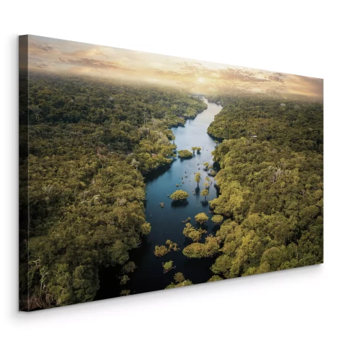 Tableau  Un large courant fluvial dans une forêt tropicale