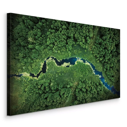 Tableau  Une vallée forestière traversée par une rivière sinueuse