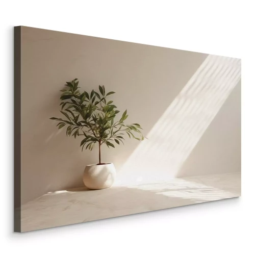 Tableau  Un olivier vert dans un pot beige