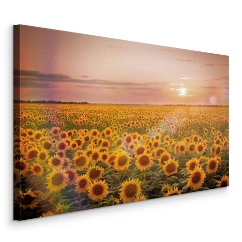 Tableau  Un champ de tournesols baigné de soleil