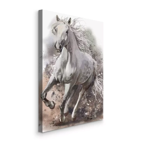 Tableau  Aquarelle représentant un cheval blanc au galop.