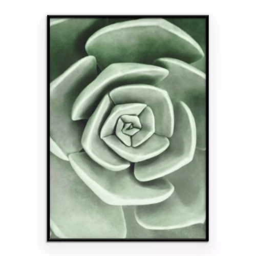 Poster  Fleur verte en gros plan en spirale