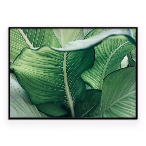 Poster  Un fond végétal aux feuilles ondulées