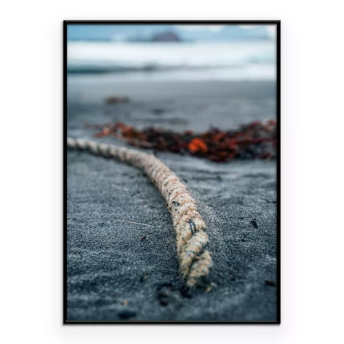 Poster  Gros plan sur une corde échouée sur la plage