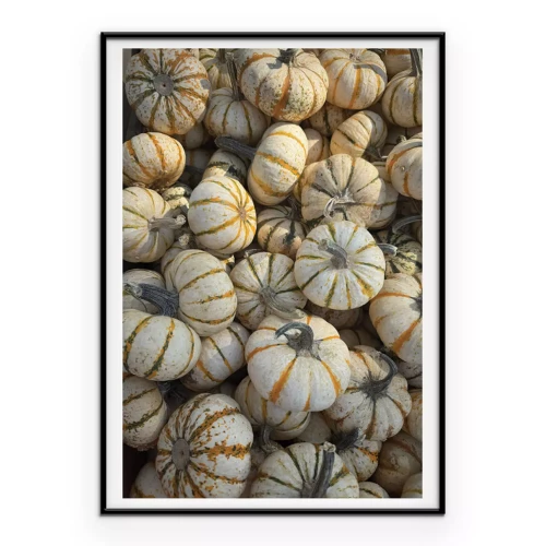 Poster  Des citrouilles colorées baignées par les rayons dorés de l'automne