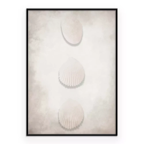 Poster  Composition minimaliste en coquillage