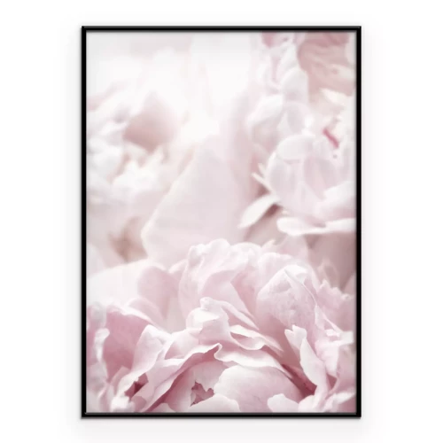 Poster  Fleurs aux teintes pastel de rose