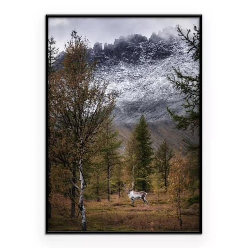 Poster  Un sentier forestier au milieu des montagnes et de la neige