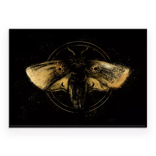 Poster  Un papillon doré dans une composition sombre