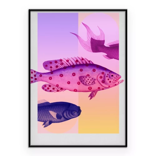 Poster  Poissons colorés sur fond dégradé
