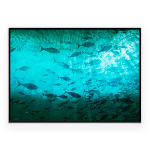 Poster  Poisson dans un cadre sous-marin lumineux