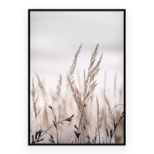 Poster  Herbes sèches dans un paysage pastel