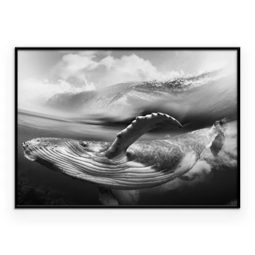 Poster  Photo sous-marine d'une baleine en noir et blanc