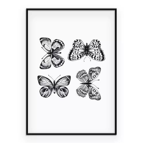 Poster  Un dessin de quatre papillons en noir et blanc
