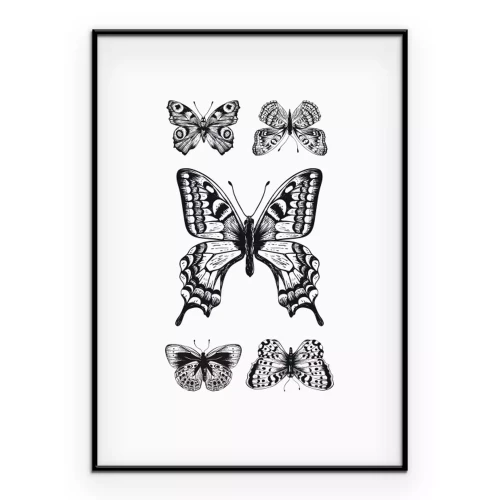 Poster  Une composition avec cinq papillons en noir et blanc
