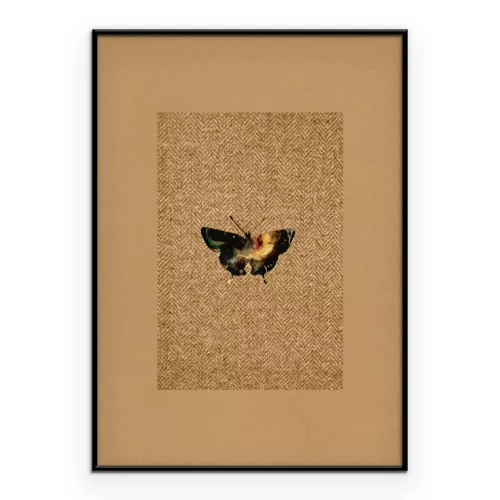 Poster  Papillon sombre sur fond texturé