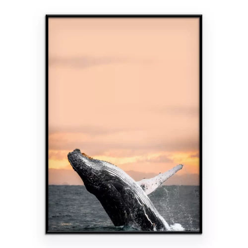 Poster  Une photo dynamique d'une baleine à la surface de l'océan