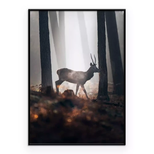Poster  Cerf dans une forêt brumeuse au lever du soleil paysage