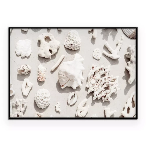 Poster  Coquillages et coraux sur une plage de sable