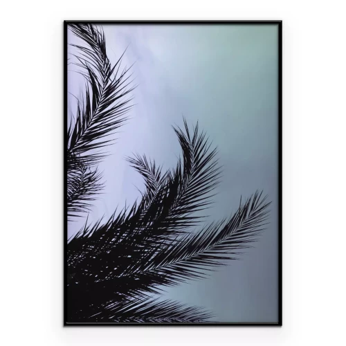 Poster  Feuilles de palmier noires sur fond de ciel