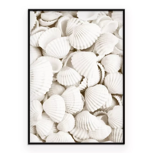 Poster  Coquillages blancs photo en style bohème