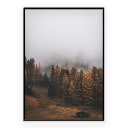 Poster  Brouillard au-dessus du paysage forestier automnal