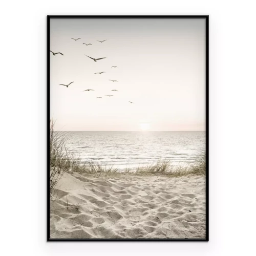 Poster  Champ de coquelicots au lever du soleil paysage d'été