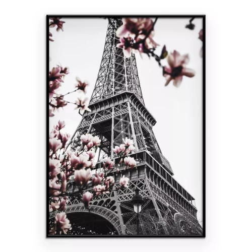 Poster  Magnolias en fleurs avec la tour Eiffel en arrière-plan