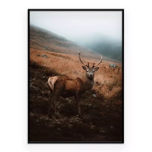 Poster  Jeleń sur le paysage de l'automne de Polana