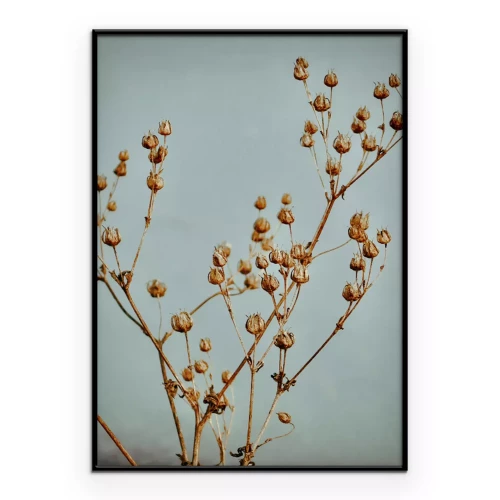 Poster  Brindilles de plantes sèches sur fond bleu