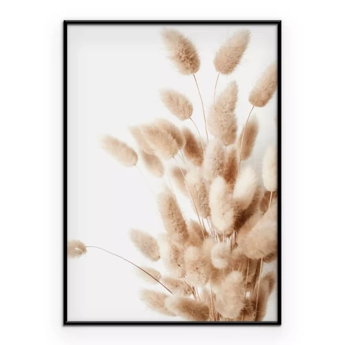 Poster  Herbe style bohème queue de lièvre