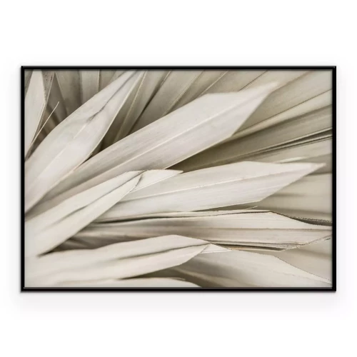 Poster  Style bohème feuilles de palmier séchées motif délicat de la nature