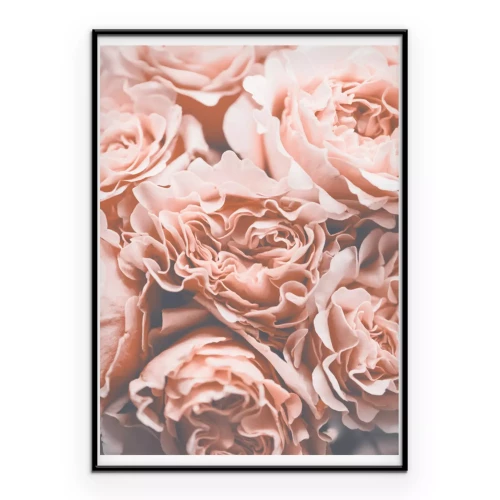 Poster  Roses roses en style vintage
