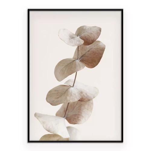 Poster  Branche d'eucalyptus sur un fond beige clair