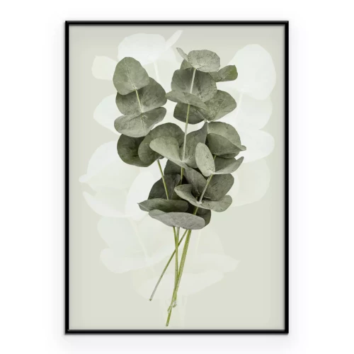 Poster  Branches d’eucalyptus sur fond vert