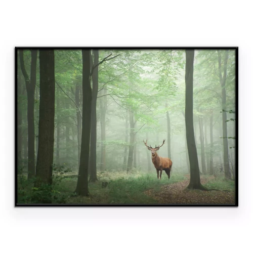 Poster  Cerf majestueux dans une forêt verte paysage